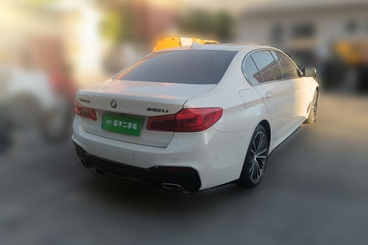 Used BMW 5 Series 2020 530Li Luxury Edition M Sport Package Rear Right 45 Deg