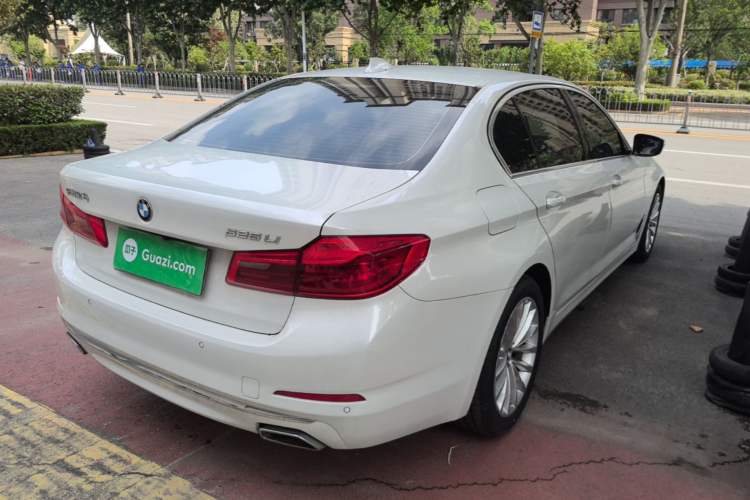 Used BMW 5 Series 2020 525Li Luxury Package Rear Right 45 Deg