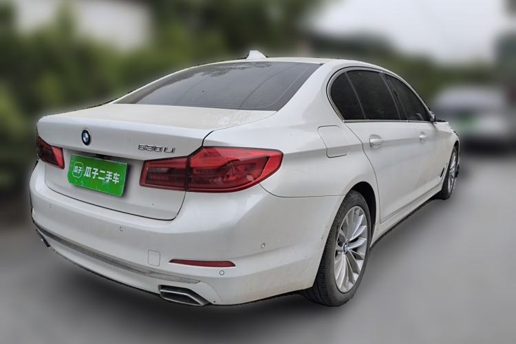 Used BMW 5 Series 2020 530Li Luxury Edition Premium Package Rear Right 45 Deg