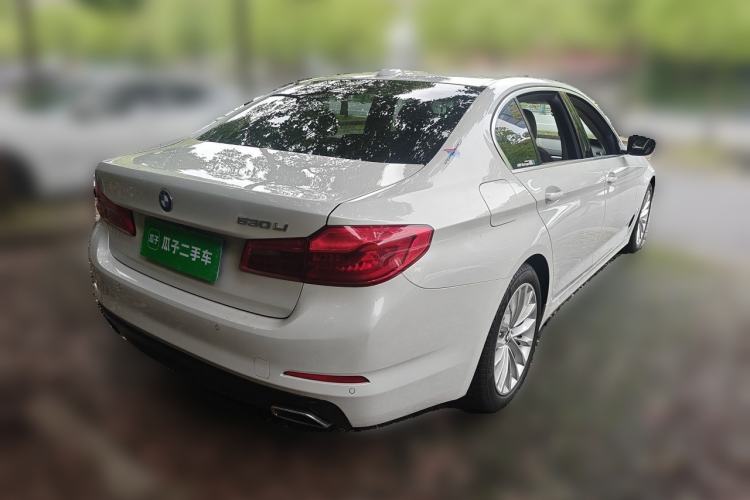 Used BMW 5 Series 2020 525Li Luxury Package Rear Right 45 Deg