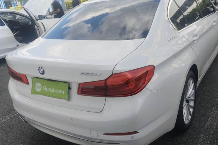 Used BMW 5 Series 2020 530Li xDrive Luxury Package Rear