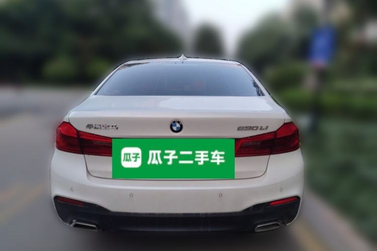 Used BMW 5 Series 2020 530Li Leading Model M Sport Package Rear