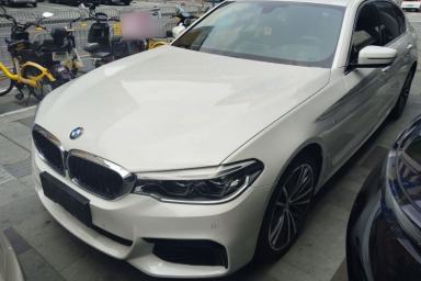 Used BMW 5 Series 2020 530Li Leading Model M Sport Package