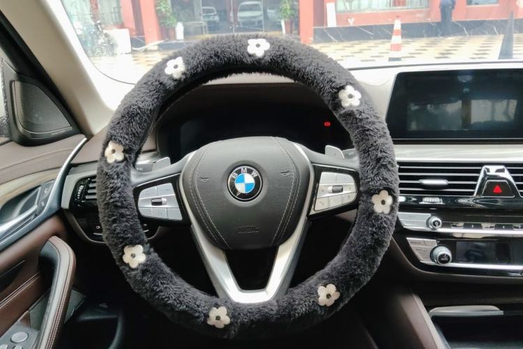 Used BMW 5 Series 2020 530Li Luxury Edition Premium Package Steering Wheel