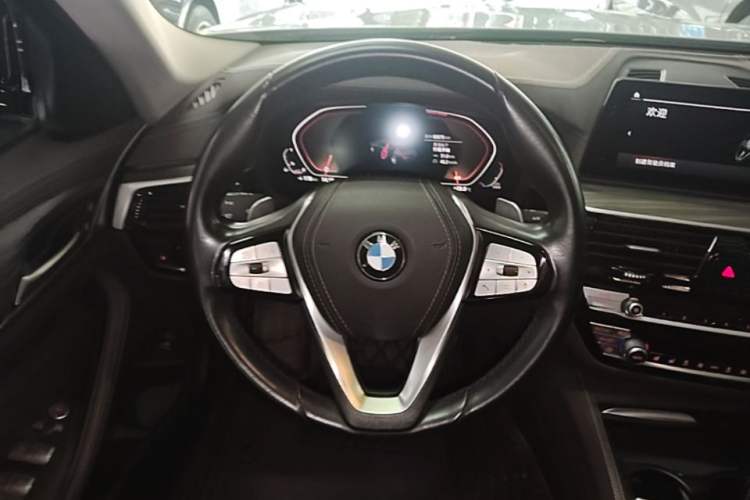 Used BMW 5 Series 2020 530Li Leading Edition Luxury Package Steering Wheel