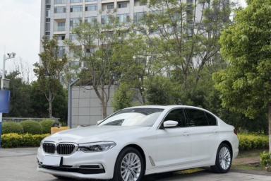 Used BMW 5 Series 2020 530Li xDrive Luxury Package