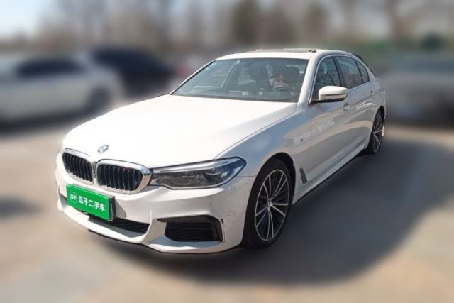 Used BMW 5 Series 2020 530Li Leading Model M Sport Package