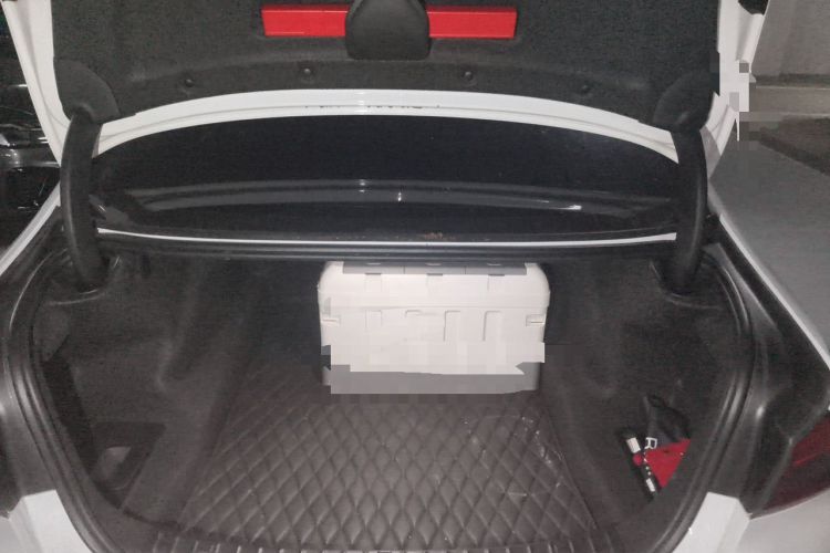 Used BMW 5 Series 2020 530Li Leading Edition Luxury Package Trunk
