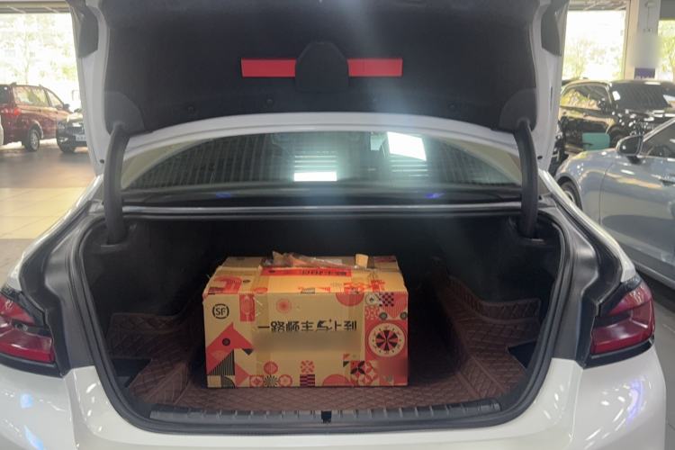 Used BMW 5 Series 2020 530Li Leading Model M Sport Package Trunk