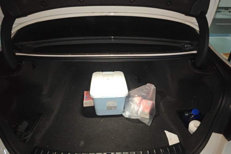 Used BMW 5 Series 2020 530Li Leading Model M Sport Package Trunk