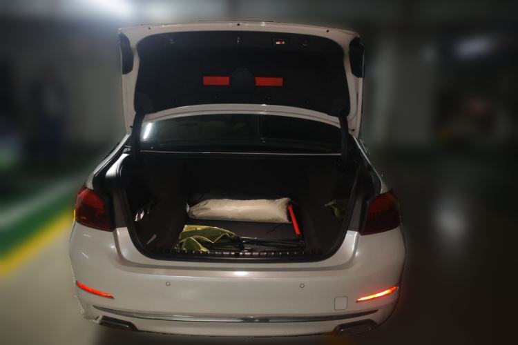 Used BMW 5 Series 2020 530Li Leading Edition Luxury Package Trunk