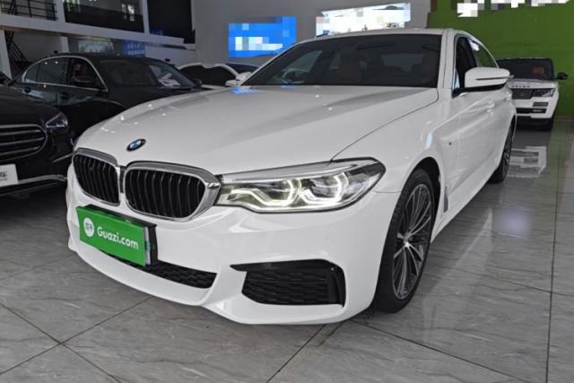 Used BMW 5 Series 2020 530Li Leading Model M Sport Package