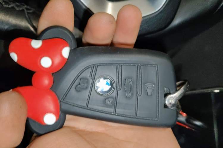 Used BMW 5 Series 2020 530Li Leading Edition Luxury Package Vehicle Key