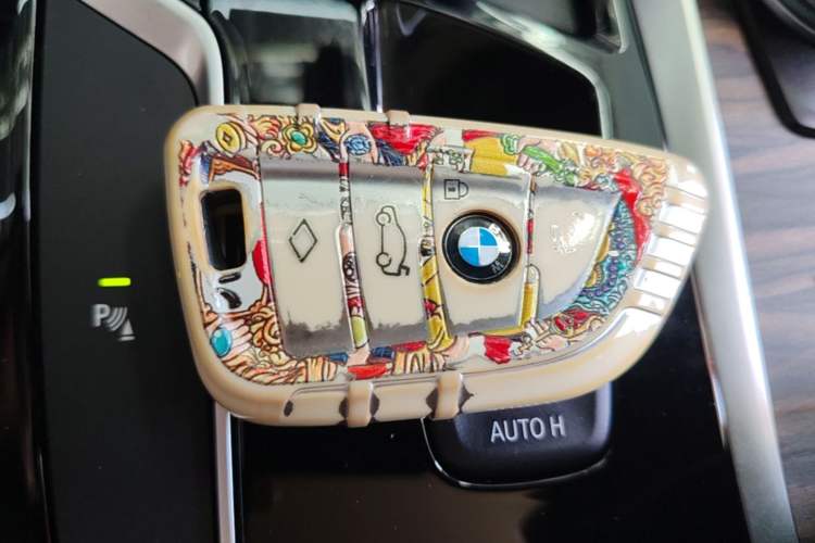 Used BMW 5 Series 2020 530Li Leading Edition Luxury Package Vehicle Key