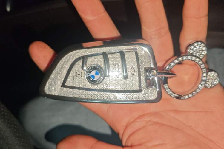 Used BMW 5 Series 2020 530Li Leading Edition Luxury Package Vehicle Key