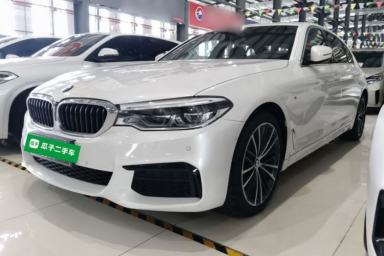 Used BMW 5 Series 2020 530Li Leading Model M Sport Package