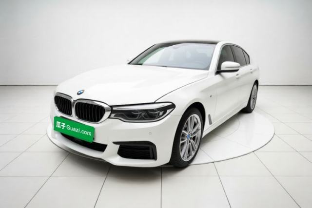 BMW 5 Series 2020 530Li Luxury Edition M Sport Package usado