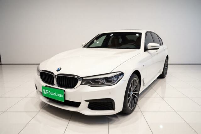 BMW 5 Series 2020 530Li Luxury Edition M Sport Package usado