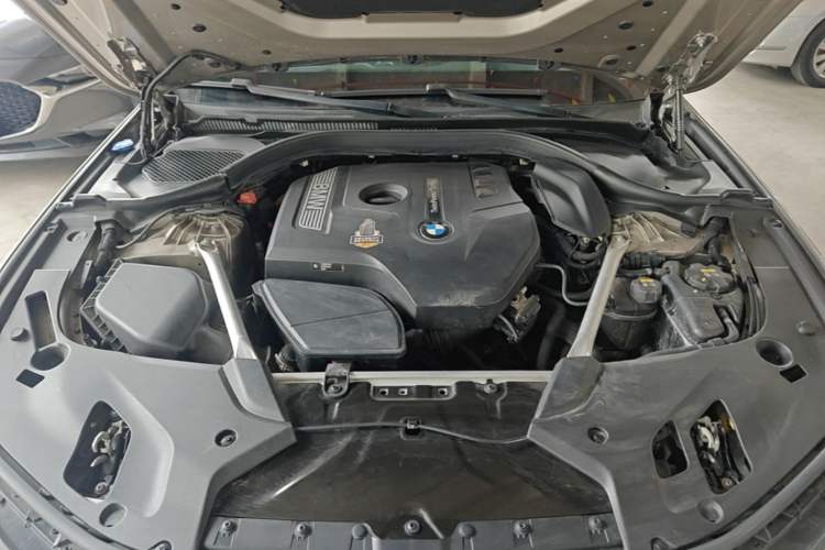 Used BMW 5 Series 2020 530Li Leading Edition Luxury Package Engine Bay