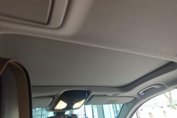 Used BMW 5 Series 2020 530Li Leading Edition Luxury Package Headliner