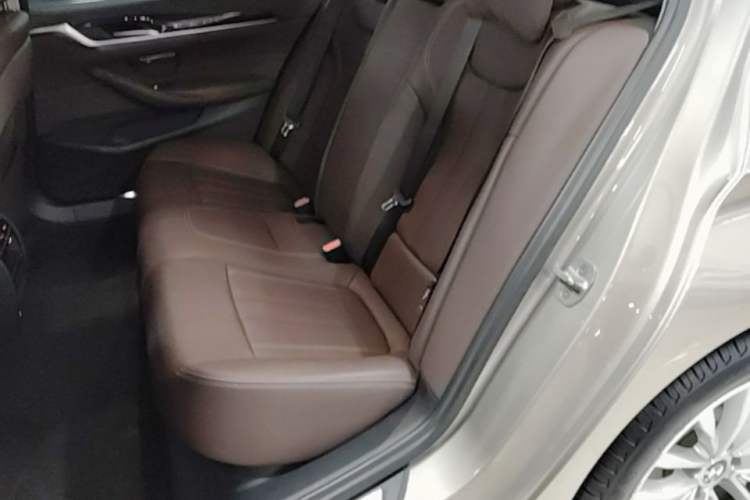 Used BMW 5 Series 2020 525Li Luxury Package Left Rear Seat