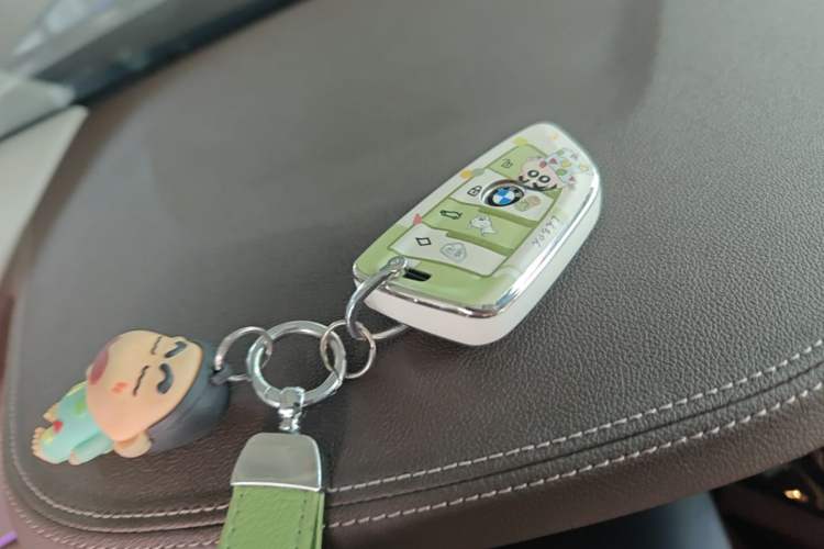 Used BMW 5 Series 2020 530Li Leading Edition Luxury Package Vehicle Key