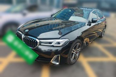 Used BMW 5 Series 2021 530Li Leading Luxury Package
