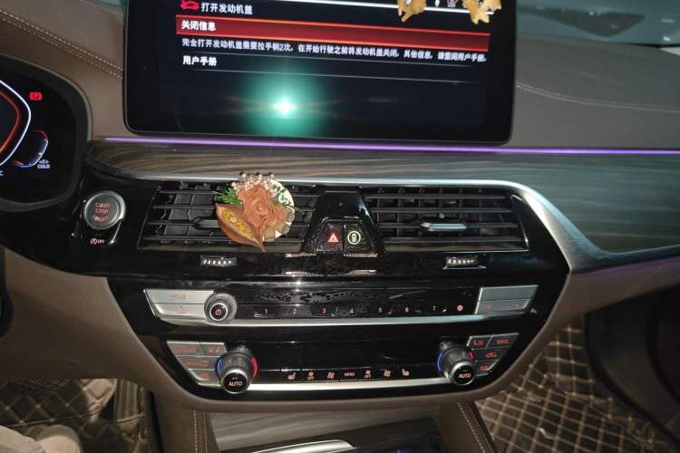 Used BMW 5 Series 2021 530Li Leading Luxury Package Audio And AC Panel