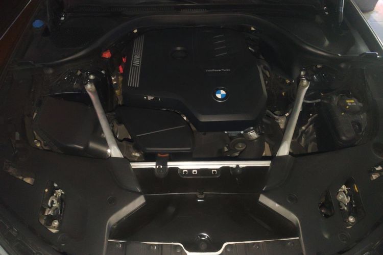 Used BMW 5 Series 2021 Updated Version 525Li Luxury Package Engine Bay