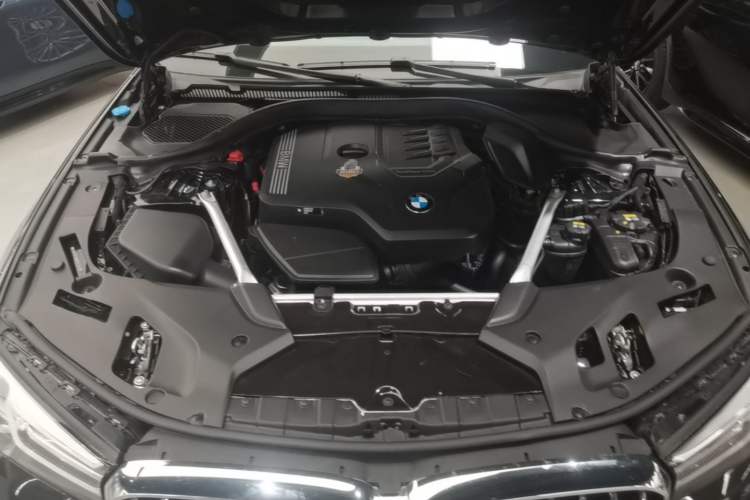 Used BMW 5 Series 2021 530Li Luxury Edition Premium Package Engine Bay