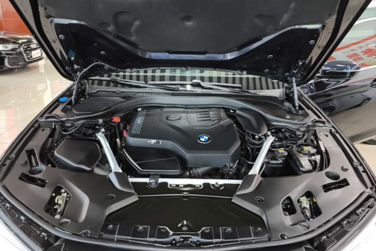 Used BMW 5 Series 2021 Restyled 530Li Luxury Edition M Sport Package Engine Bay