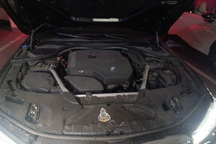 Used BMW 5 Series 2021 Restyled 530Li Luxury Edition M Sport Package Engine Bay