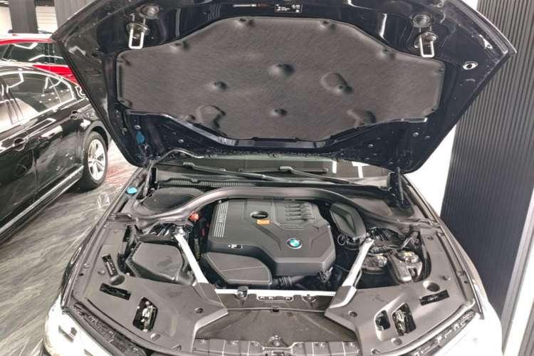 Used BMW 5 Series 2021 530Li Luxury Edition Premium Package Engine Bay