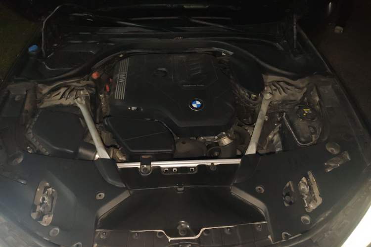 Used BMW 5 Series 2021 525Li M Sport Package Engine Bay