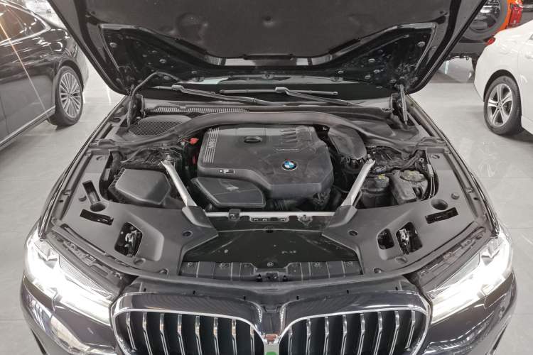 Used BMW 5 Series 2021 530Li xDrive Luxury Package Engine Bay