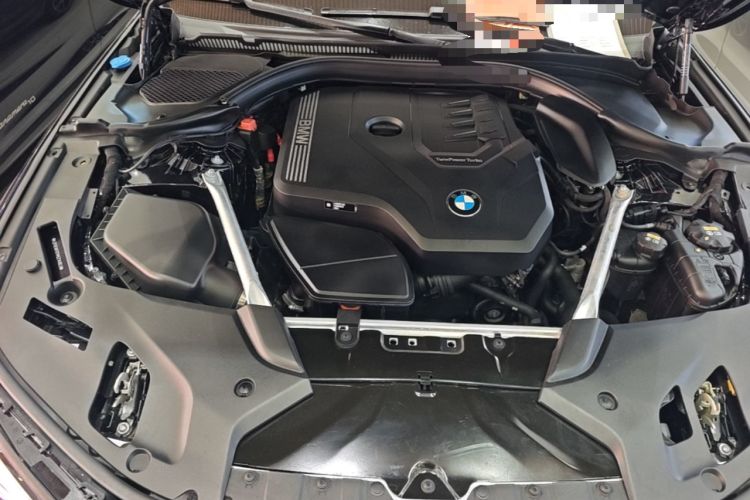 Used BMW 5 Series 2021 530Li Luxury Edition M Sport Package Engine Bay