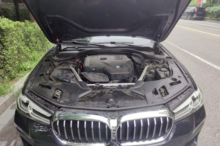 Used BMW 5 Series 2021 530Li Luxury Edition M Sport Package Engine Bay