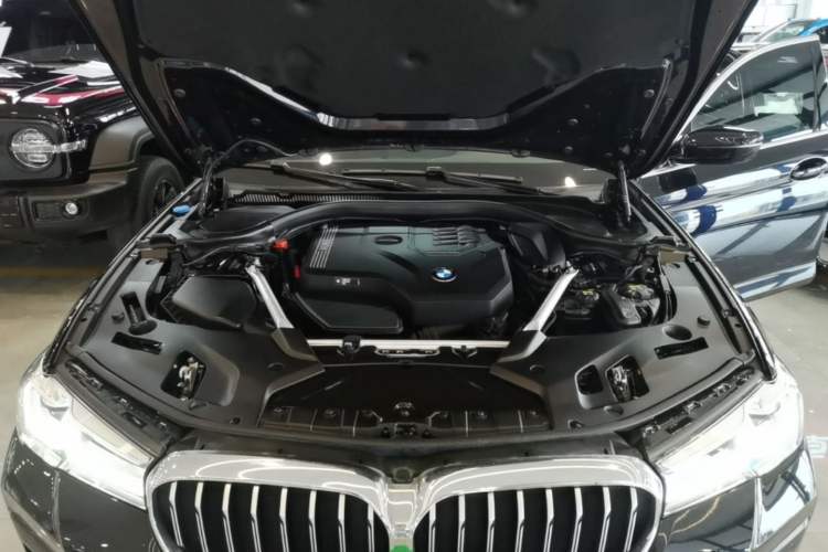 Used BMW 5 Series 2021 Facelifted 530Li Leading Edition M Sport Package Engine Bay