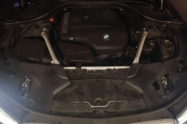 Used BMW 5 Series 2021 530Li Leading Model M Sport Package Engine Bay