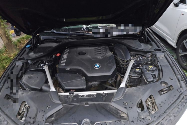 Used BMW 5 Series 2021 Facelifted 530Li Leading Edition M Sport Package Engine Bay