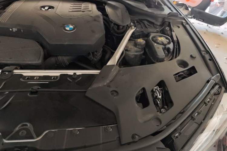 Used BMW 5 Series 2021 530Li Luxury Edition M Sport Package Engine Bay Left