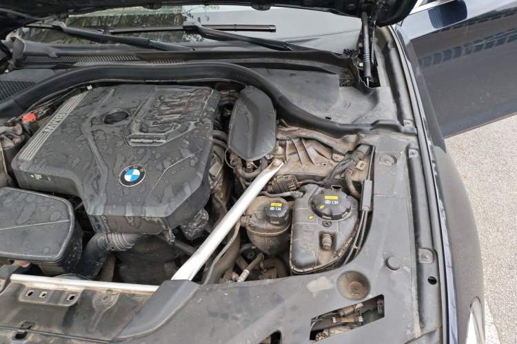 Used BMW 5 Series 2021 Restyled 530Li Luxury Edition M Sport Package Engine Bay Left