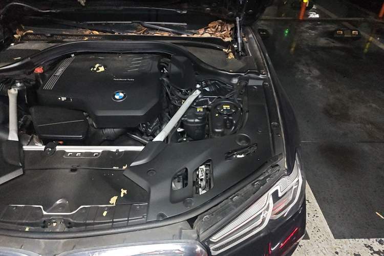Used BMW 5 Series 2021 Facelifted 530Li Leading Edition M Sport Package Engine Bay Left
