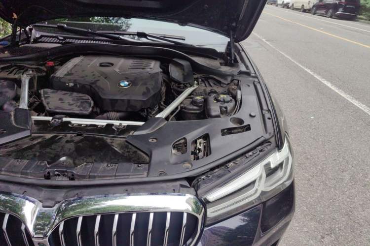 Used BMW 5 Series 2021 530Li Luxury Edition M Sport Package Engine Bay Left