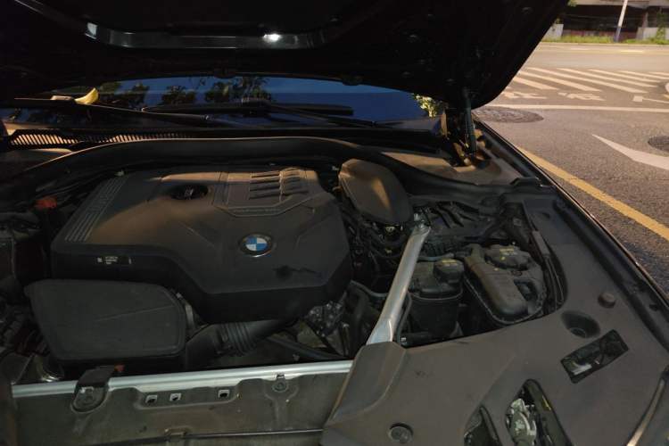 Used BMW 5 Series 2021 530Li Leading Model M Sport Package Engine Bay Left