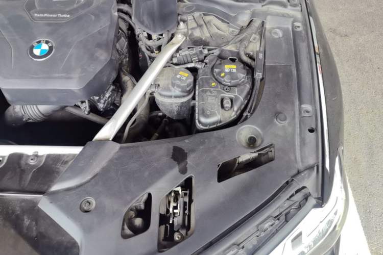 Used BMW 5 Series 2021 530Li Luxury Edition M Sport Package Engine Bay Left