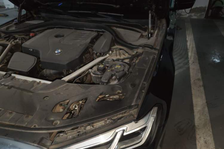 Used BMW 5 Series 2021 Facelifted 530Li Leading Edition M Sport Package Engine Bay Left