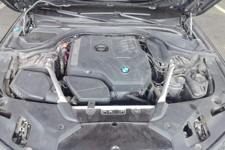 Used BMW 5 Series 2021 530Li Luxury Edition M Sport Package Engine Bay