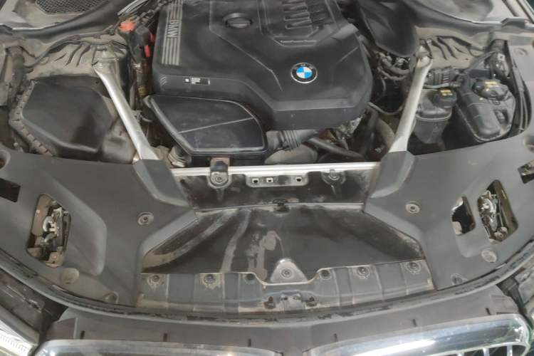Used BMW 5 Series 2021 530Li Leading Luxury Package Engine Bay