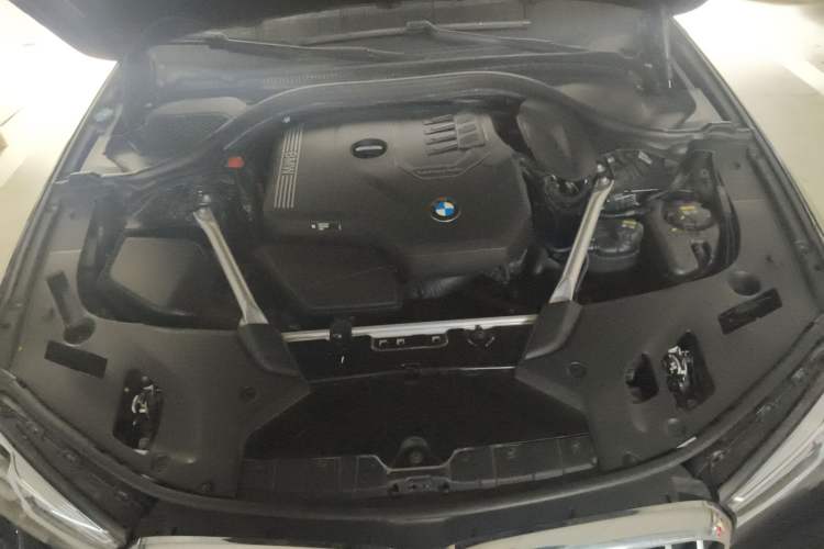 Used BMW 5 Series 2021 Restyled 530Li Luxury Edition M Sport Package Engine Bay